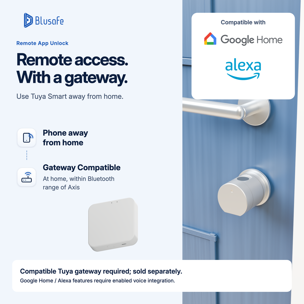 Blusafe Axis — Remote access and compatible gateway