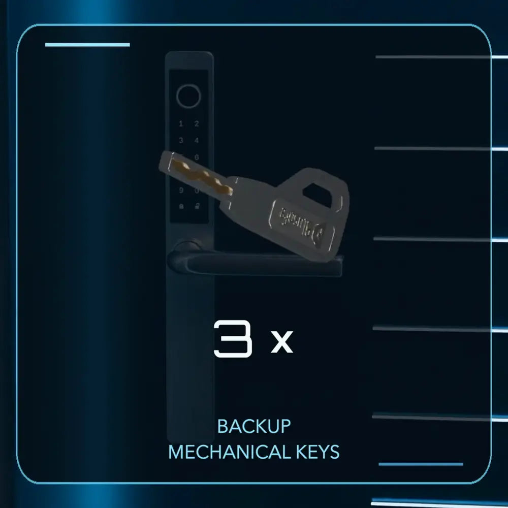 Film frame: a mechanical key beside the handle